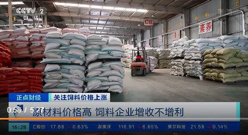 飼料價格上漲的連鎖反應 養殖戶虧損加劇，企業利潤承壓