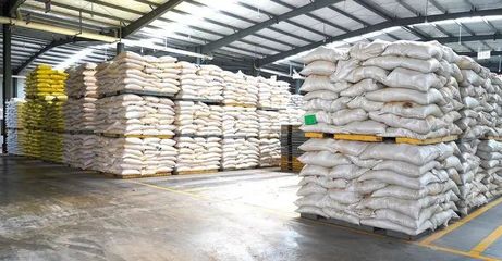 奮戰(zhàn)“開門紅” | 隨州正大 產(chǎn)銷兩旺干勁足，跑出新春“加速度”